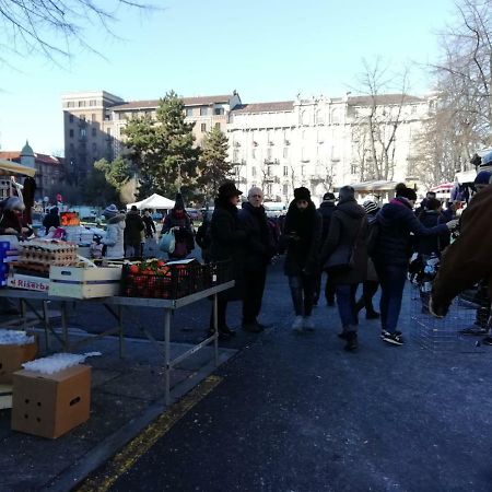 Il Nido Del Picchio 2 Daire Torino Dış mekan fotoğraf